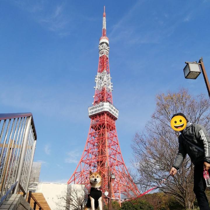 A9b3896b a757 437c aa83 df2377560d10 1670768857793