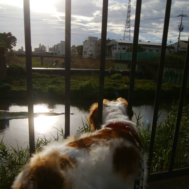 A9b393b6 9f8f 41e7 ba89 7420e7ccec6e 1534074201486