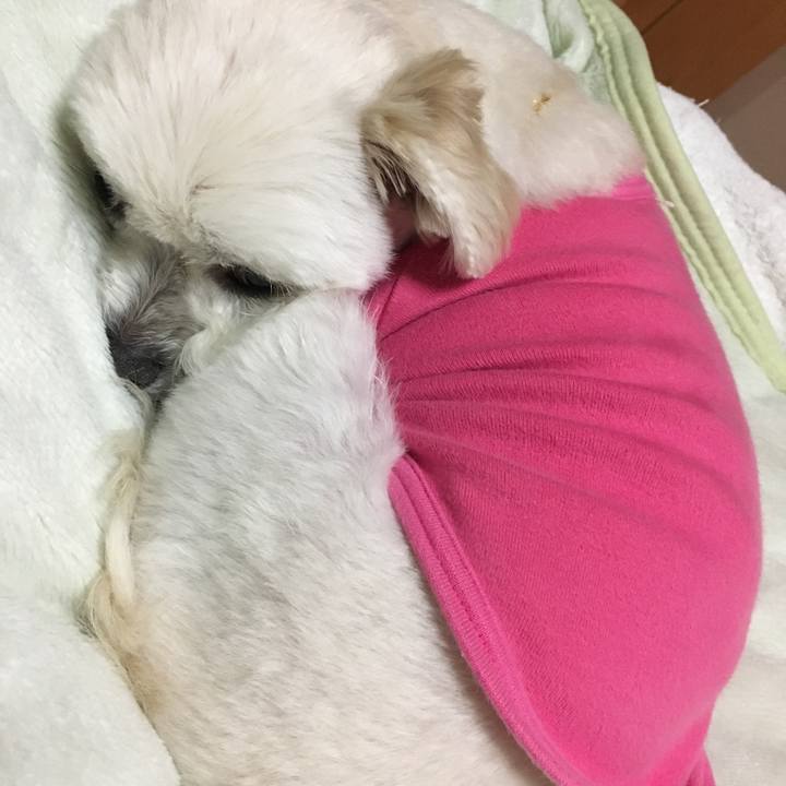 A9b399c6 6778 41de b0bc f3aa4896f99e 1520764033114