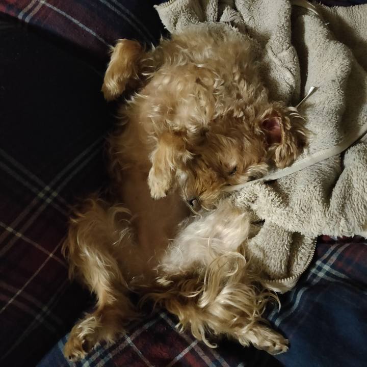 A9b3b38c e353 4ab5 a2e1 f76e6b5e62ba 1603892798651