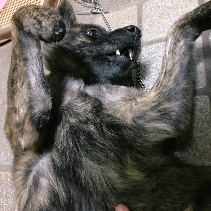 A9b3d03a 054d 4a5c b11c 98326c368489 1513508462779