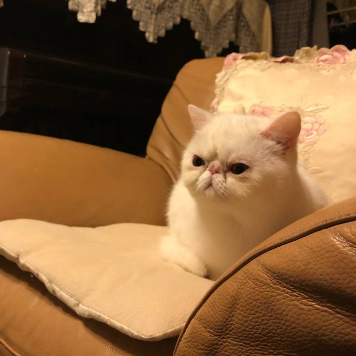 A9b3d354 3f6e 4cba 8d3c dc2150a6b214 1575808376036