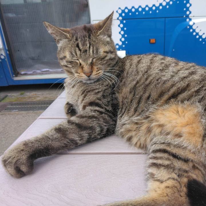 A9b3ec96 60c0 4be1 8040 a1ab6fbfc313 1683879511752