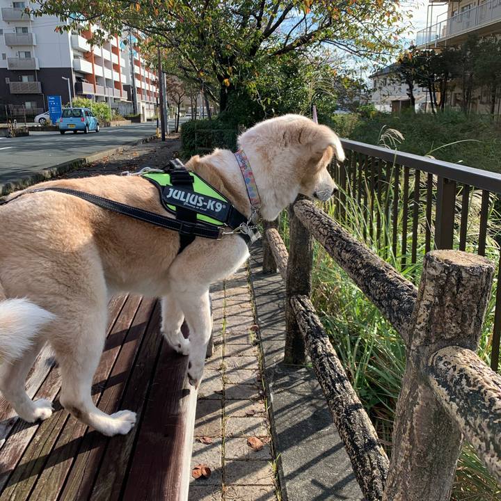 A9b3f895 398b 4875 9f4c 110fcfa91223 1603020948144