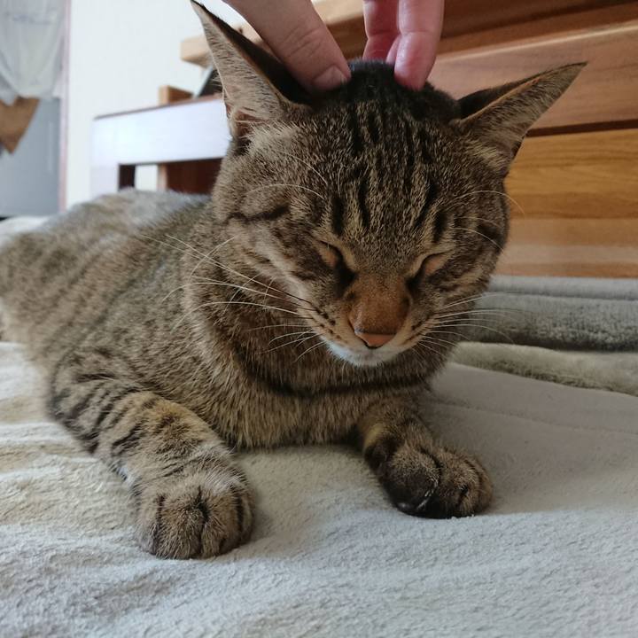 A9b400ae a7c5 4918 b79c 45737278ed4d 1572658959197