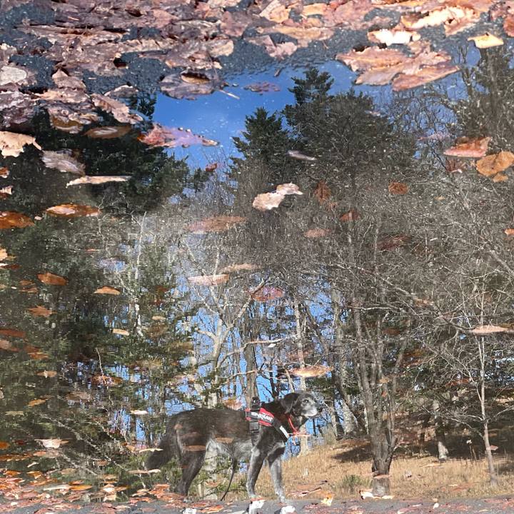 A9b40aaf ab33 4097 ab00 f3835dfaba37 1763436823707