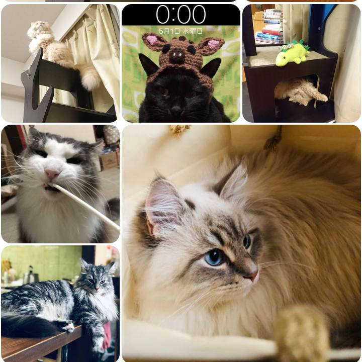 A9b412cb 2ed1 45d7 8978 e472a0472dd1 1556661126724