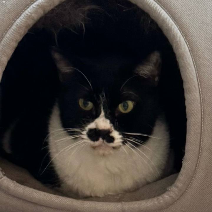 A9b45115 40a6 4033 929a faa348c3ef46 1732665732254