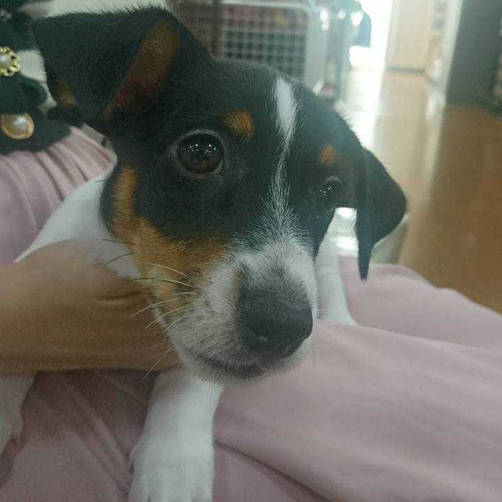 A9b459b6 73ef 4533 9b68 7d660ef22cce 1619179559986