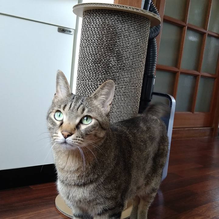 A9b466e0 d312 4317 a4dc 0e5fad79ef0b 1655002817020