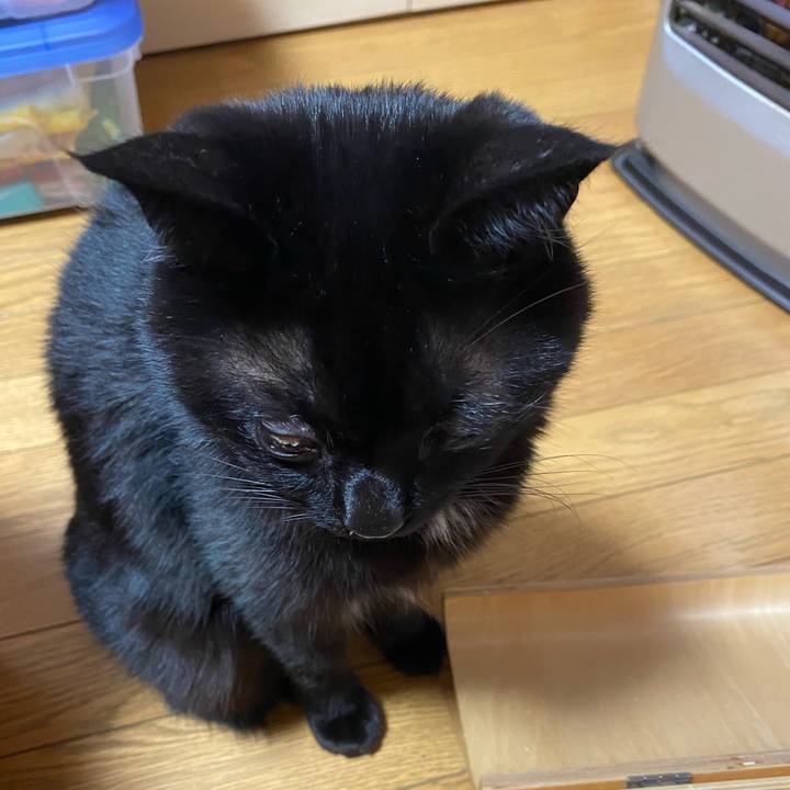 A9b466fb 596c 472d bf9f 6a38bb3bea5a 1608988309741