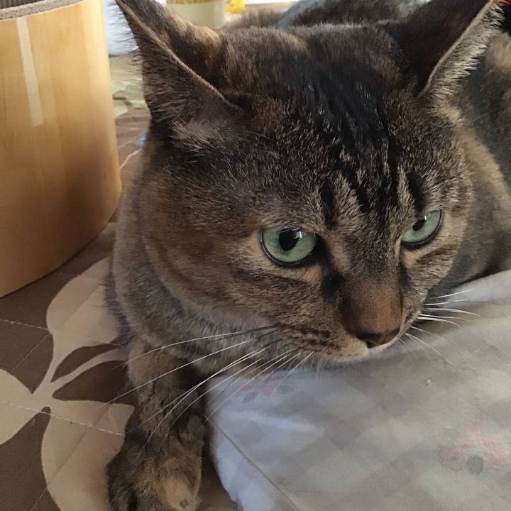 A9b47dee 6b7d 4b56 a404 b64787544aab 1734913213809