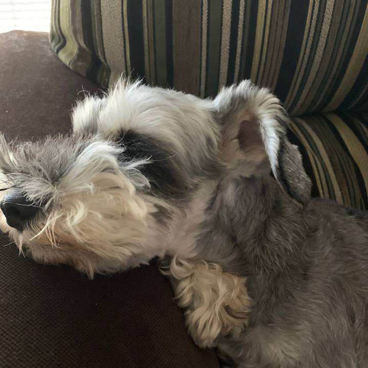 A9b4c23b 3738 4d75 95ec 5704af2f2b4b 1599280552195