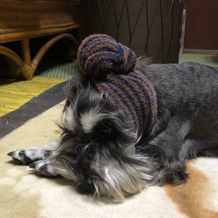 A9b4cd9b d100 4647 a362 ca2248464489 1524920710853