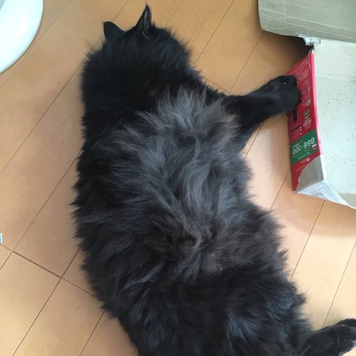 A9b4d1b1 8b00 4e15 a018 85c84e93bd19 1544495591773