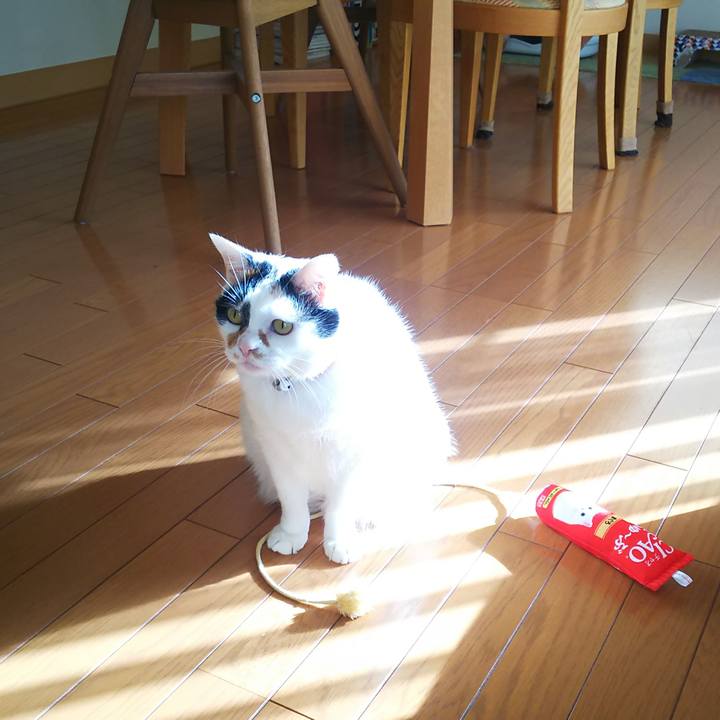 A9b4f80e 8e84 48db b1f9 97eabe73b627 1573170594092