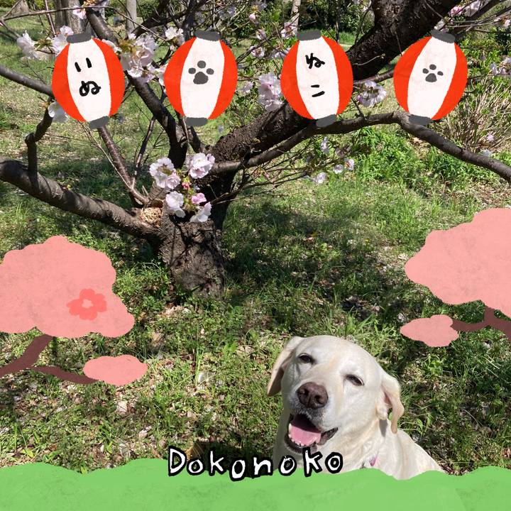 A9b53f98 2c10 46df ac49 3d5f38c53a4e 1712730261191