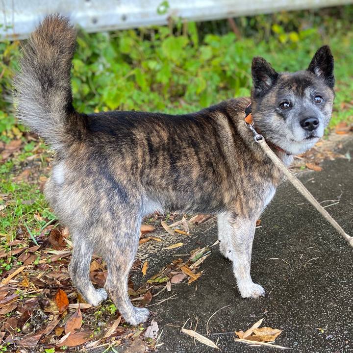 A9b55295 9128 4752 8086 7160a1b1453b 1637228772548