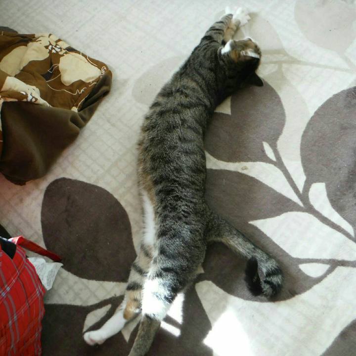 A9b56f23 680c 4c0a 8e0e 35cade78a9d4 1554509702645