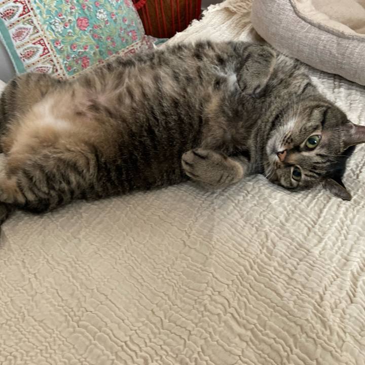 A9b576d3 76c7 4ef4 b2ee 203d9d174472 1745480117695