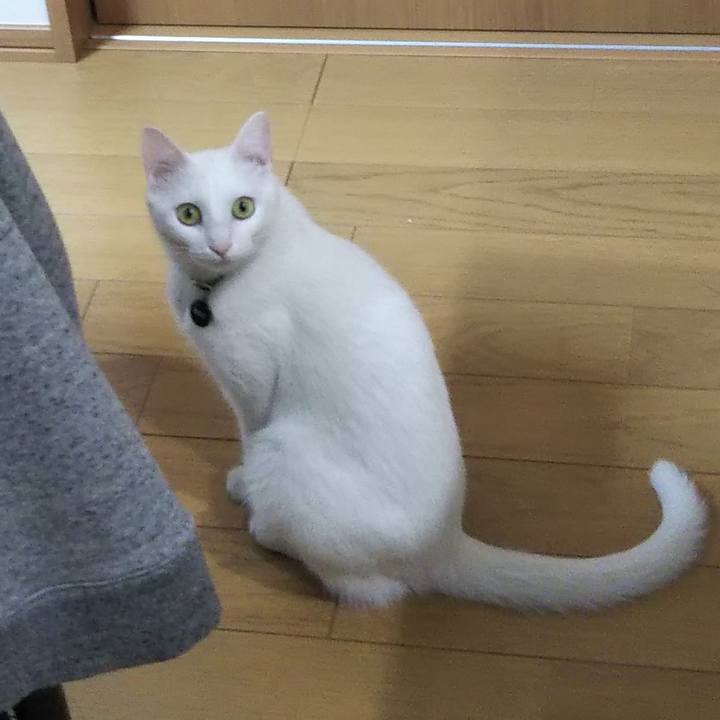 A9b590cb 8239 4b59 9126 0207528a11cd 1640730935756