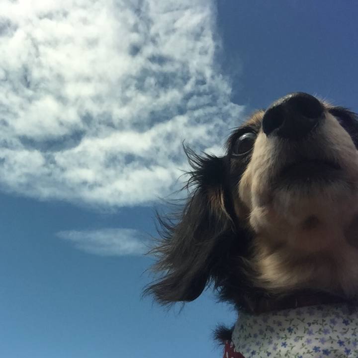 A9b5c0a2 7dc0 4925 a807 7da6ea320951 1536020475242