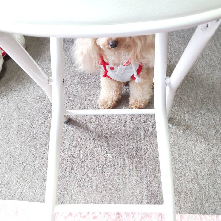 A9b5f5d1 fecb 4044 9c91 8d93586483a8 1574509374410