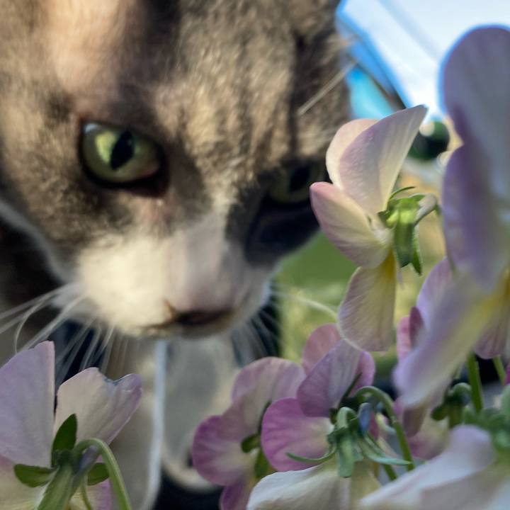 A9b61ca6 ad00 4d0e aa1c 0c6b2529b440 1700612566128