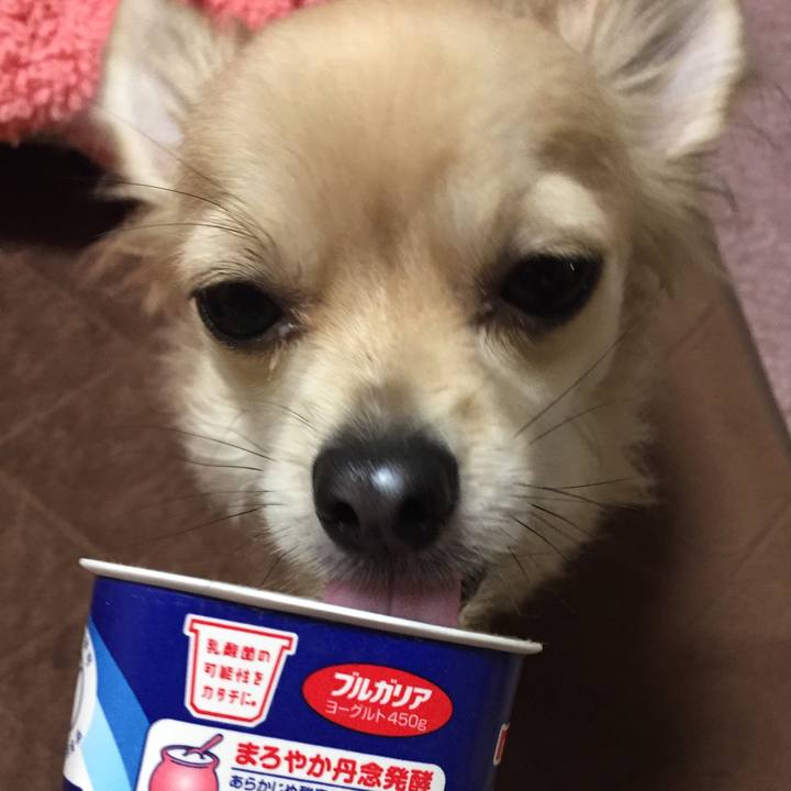 A9b61cb7 f54a 4ec4 ae6e d9022d997e25 1516419868369