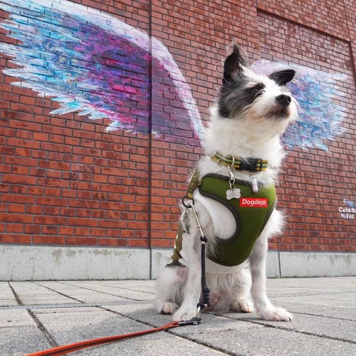 A9b63ce4 92e6 48e6 895d 3c00d762c7ba 1566873039395