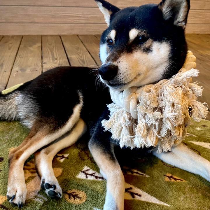 A9b64781 cc97 447b a8de 59ebed51d646 1652021217972