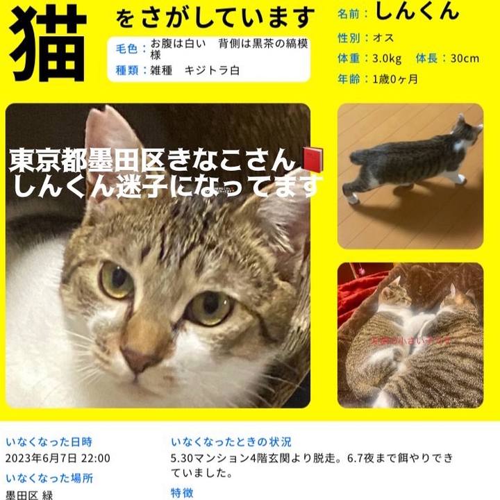 A9b6b730 6e9b 427b 900c c451b3e626de 1696828648739