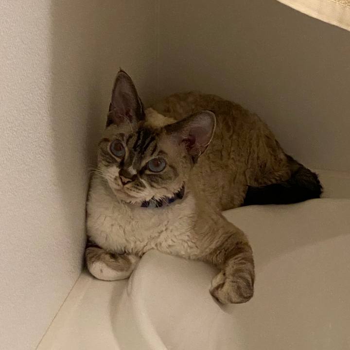 A9b6ba07 7460 4cbc b44b 0cb373efdd49 1662435683564