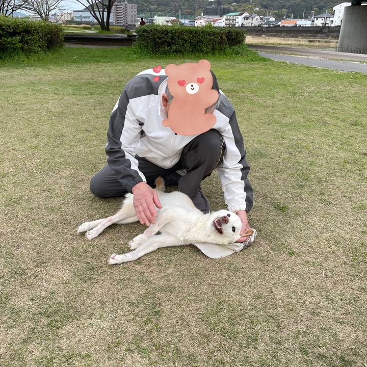 A9b6bdf7 d4c1 4c20 8d5c 0cc2af211c74 1680186290831