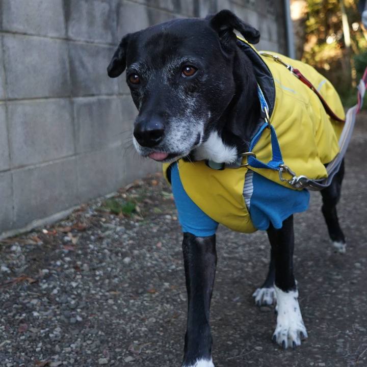 A9b6f49a ed5c 4a0f a126 3d86b0d122c8 1767574259517