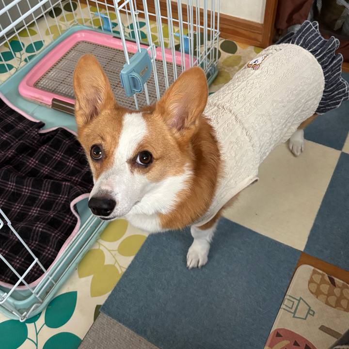 A9b70437 1dd2 490c bf7c 91dd293b9cff 1763535512362