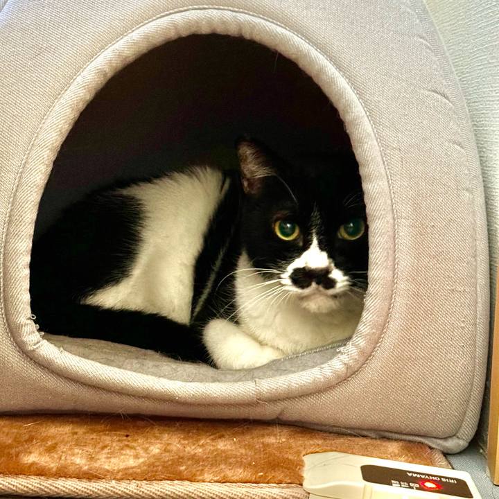 A9b71c18 e9a3 49d7 8865 542b077326e1 1730938185307