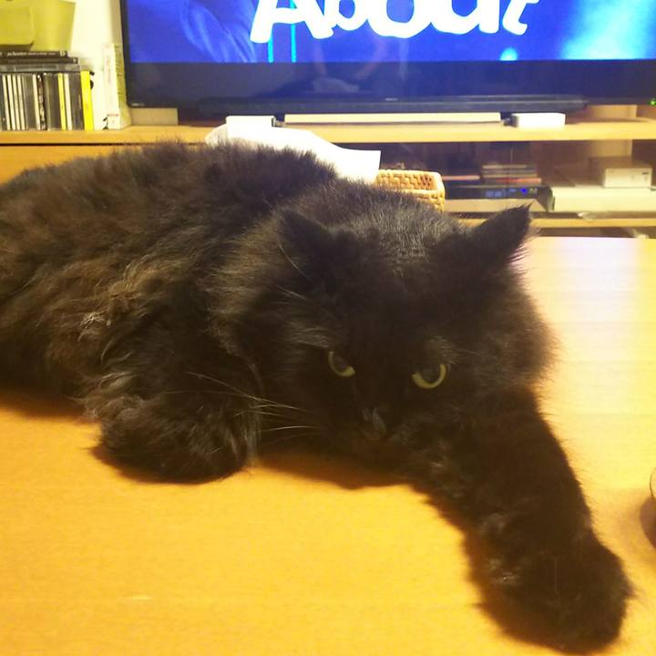 A9b75d4e dc20 4f52 8cd0 e66ac8fd067b 1532217206521