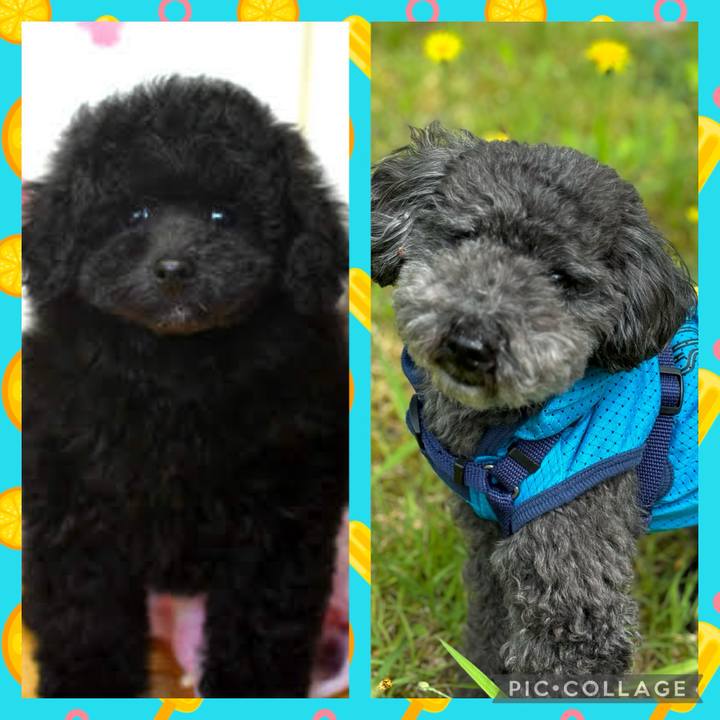 A9b75e4e 2da1 4d77 bedc a22e6d0003b4 1716693445630