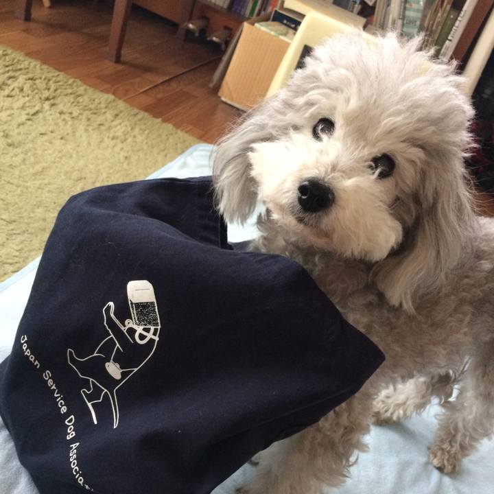 A9b76b2c 7d6d 4014 99a5 ceffe5ace167 1513294558509