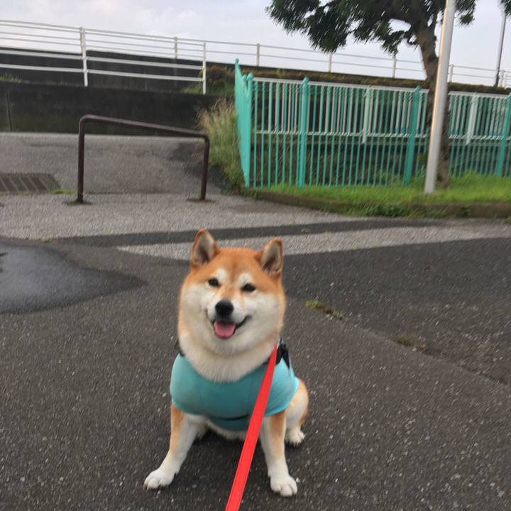 A9b770ca 8772 4ec8 8689 cc0c26b2b6c3 1594720151181