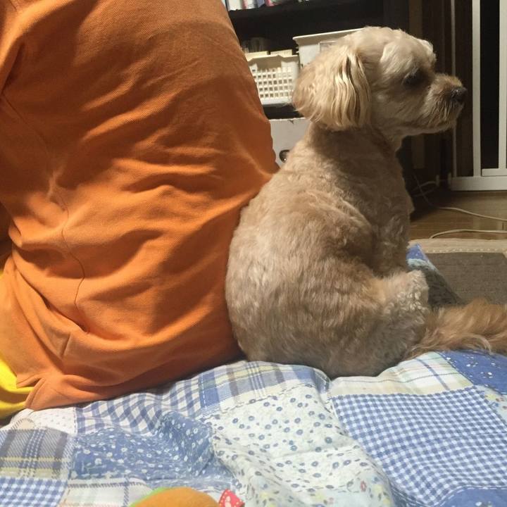 A9b8b360 6d9d 473b b0aa b9b45dea07ce 1566562678054