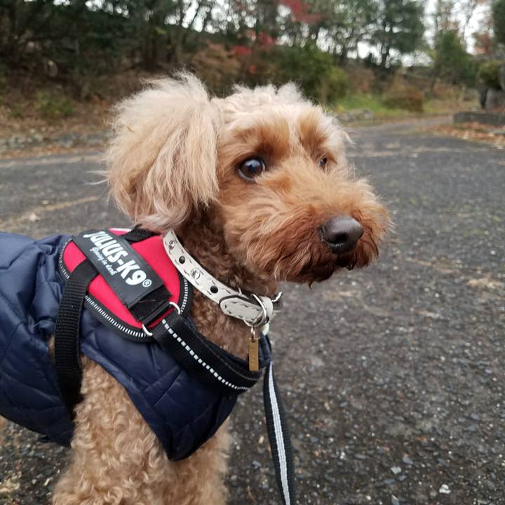 A9b8bab1 d581 475b 8776 4286502cd3f9 1512702522527