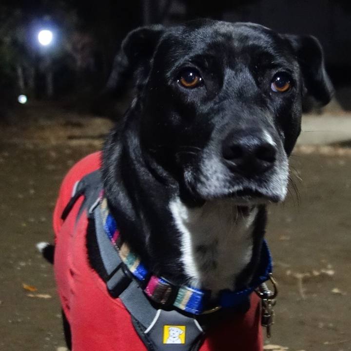 A9b8cb47 9130 429e 86ca e122ff3f0cbf 1644663035576