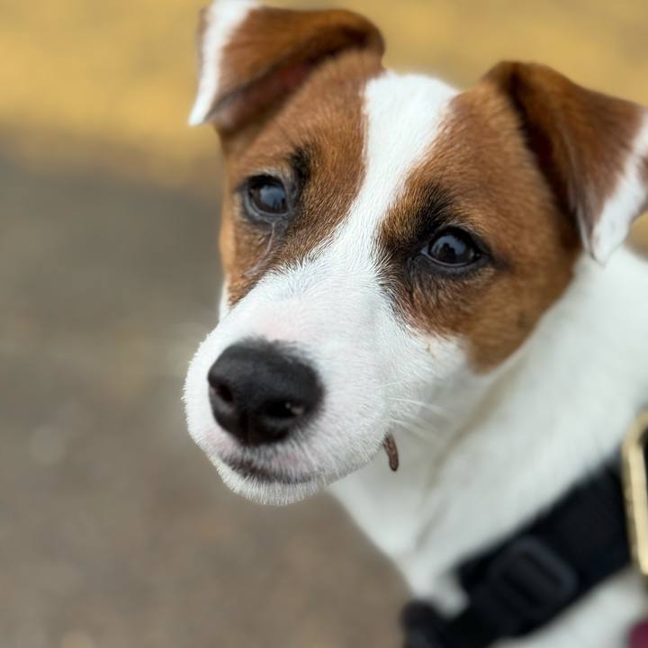 A9b8cebf a029 43c3 9fa3 c47f9105c7ab 1749263609512