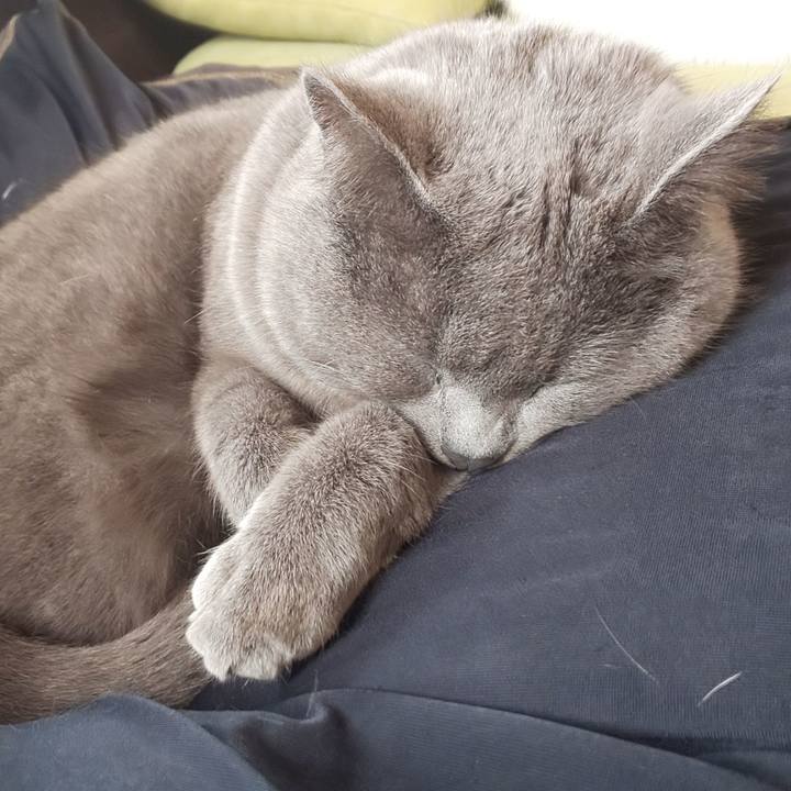 A9b8efaa 3fa7 40f8 9df2 e281ac8b3b99 1549513321002