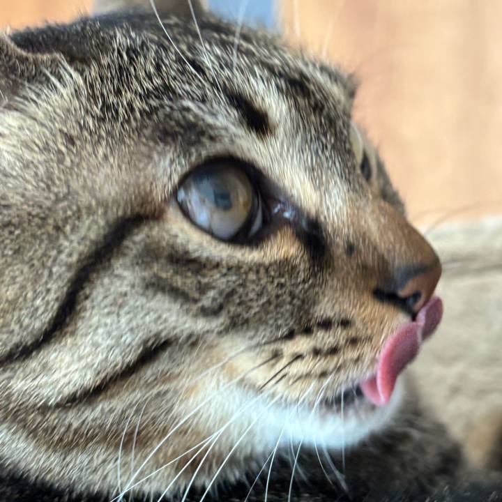 A9b91ad8 5438 44f6 8e9a 818cd01f6ec1 1771639184482