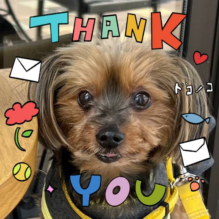 A9b93224 3515 4aec 83e1 5168564986d5 1714881312649