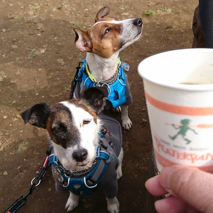 A9b943a8 3acb 4645 8941 12215ba57bd8 1552799508827