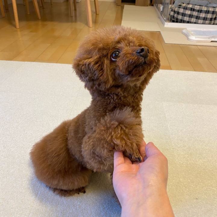 A9b98498 88fc 46fd ad1d 022137584c34 1613947894732